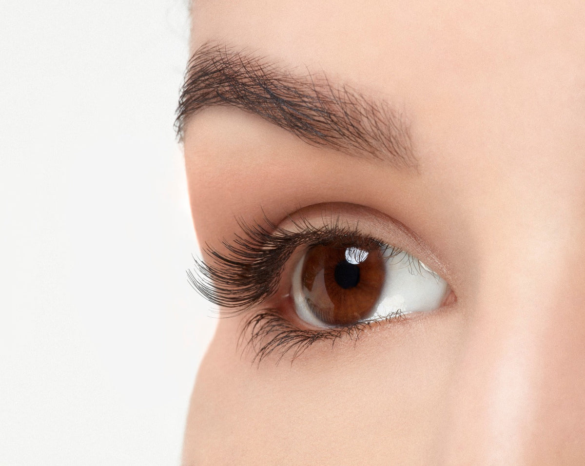Angled close-up of a model's open right eye wearing an Ardell Lash Accent 301 faux lash